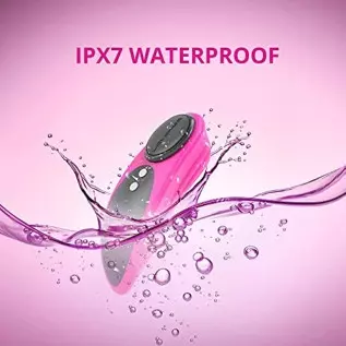 LOVENSE Ferri Wearable Magnetic Panty Vibrator, Long Distance Bluetooth Remote Reach with Music Sync, Partner & App Control