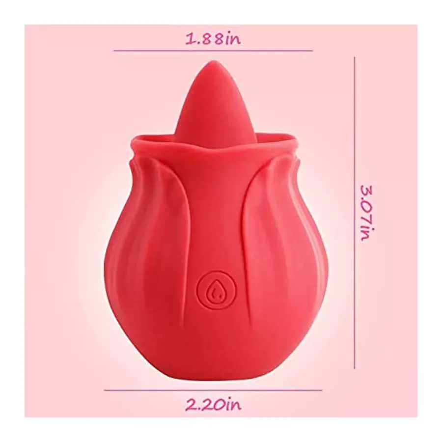 202 Rose Toy for Women Washable Gift Delivered Within 3-6 Days B (02-Red)