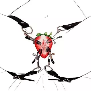 Nipple Clamps Silicone Clitoral Labia Spreader, SM Adult Sex Pleasure Clitoris Vagina Massager for Quick Orgasm Adjustable Women