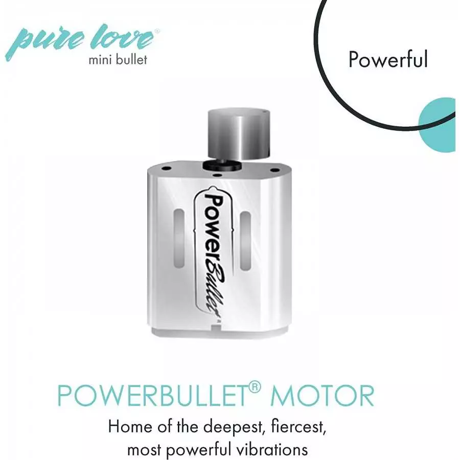 Pure Love Mini Bullet Vibrator, Rechargeable, Travel Size, Adult Sex Toy, Pink Color