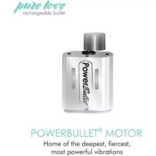 Pure Love Rechargeable Vibrating Bullet Purple, Waterproof, Multispeed and Multifunction, Adult Sex Toy