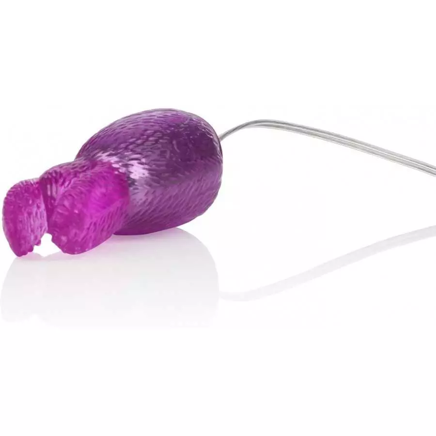 CalExotics Pocket Exotics Bunny Bullet - Vibrator with Rabbit Tickler - Sex Toys for Couples - Adult Vibe Egg Massager - Pink