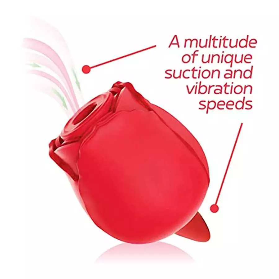 Sexy Gift Set Bundle of Wild Rose and Tongue and Icon Brands Orange is The New Black, Riding Crop & Tickler