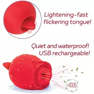 Sexy Gift Set Bundle of Wild Rose and Tongue and Icon Brands Orange is The New Black, Riding Crop & Tickler