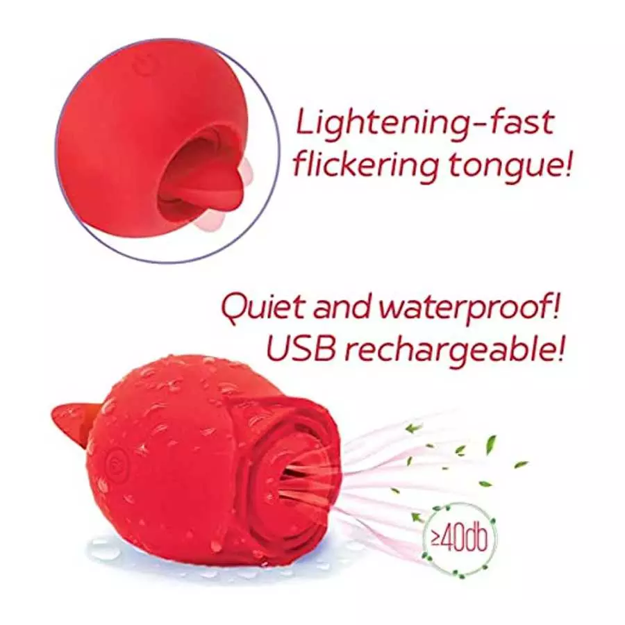 Sexy Gift Set Bundle of Wild Rose and Tongue and Icon Brands Orange is The New Black, Riding Crop & Tickler