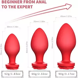 Rose Toys Anal Plug Sex Stimulator for Women, Silicone Butt Plug High-End Training Kit, Adult Sex Toy, 3 Pack Different Size Lux