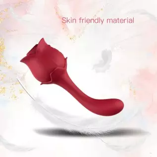 Vibrator for Women, 2 in 1 Stimulator for Adult Female Sensual Parts Dildo, Waterproof & Rechargeable & Ten Powerful Vibration M Vibrator for Women, 2 in 1 Stimulator for Adult Female Sensual Parts Dildo, Waterproof & Rechargeable & Ten Powerful Vibration M