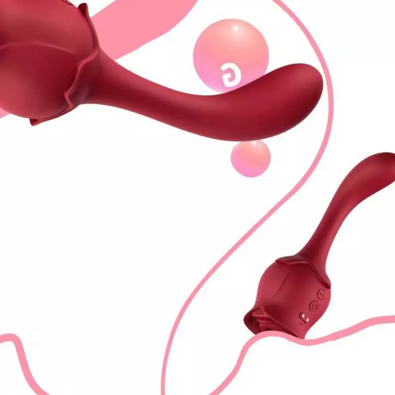 Vibrator for Women, 2 in 1 Stimulator for Adult Female Sensual Parts Dildo, Waterproof & Rechargeable & Ten Powerful Vibration M