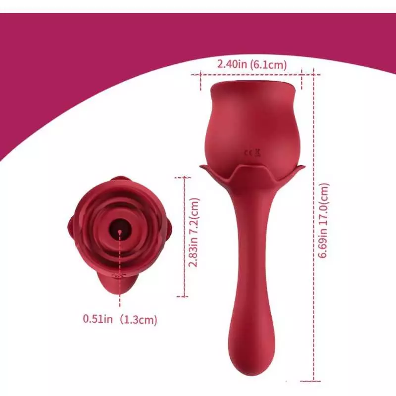 Vibrator for Women, 2 in 1 Stimulator for Adult Female Sensual Parts Dildo, Waterproof & Rechargeable & Ten Powerful Vibration M
