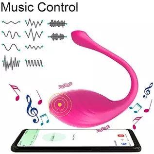 Wearable Bullet Vibrator G-Spot Massager Dildo Remote Control Sex Toys for Women Wearable Bullet Vibrator G-Spot Massager Dildo Remote Control Sex Toys for Women