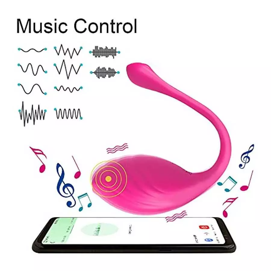 Wearable Bullet Vibrator G-Spot Massager Dildo Remote Control Sex Toys for Women