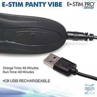 ZEUS ELECTROSEX E-Stim Panty Vibe w/Remote Control for Women and Couples.