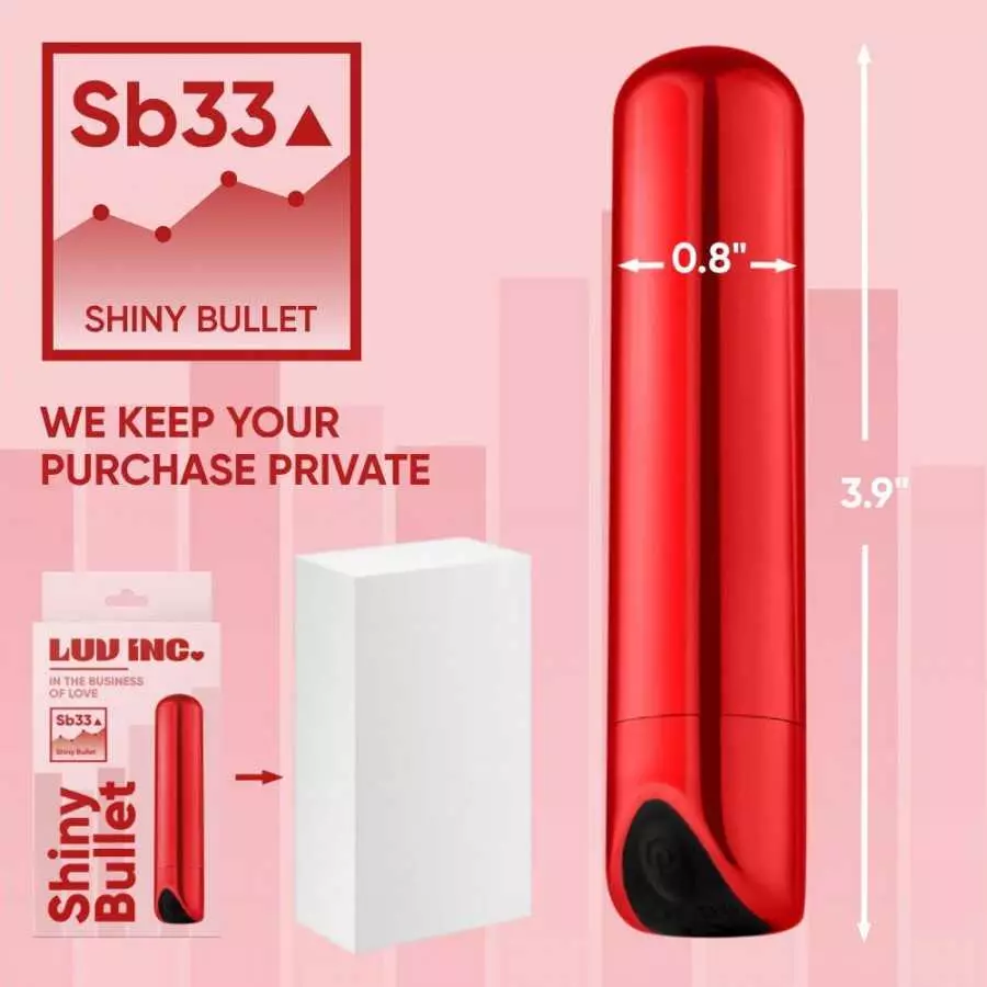 Luv Inc Shiny Bullet Vibrator Super Strong Clitoral Nipple Stimulator Adult Toys for Female with 10-Modes, USB Rechargeable Wate