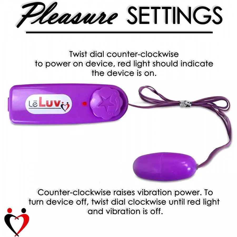 LeLuv Bullet Vibrator Rocket Egg Multispeed 2 Pack Pink