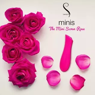 The Mini Swan Rose Ultimate Clitoral Vibrator, Perfectly Sized for On-The-Go Adventures, Incremental Speed Control with Silky-Sm The Mini Swan Rose Ultimate Clitoral Vibrator, Perfectly Sized for On-The-Go Adventures, Incremental Speed Control with Silky-Sm