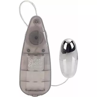ULTRA INTENSE MULTISPEED VIBRATING SILVER EGG BULLET