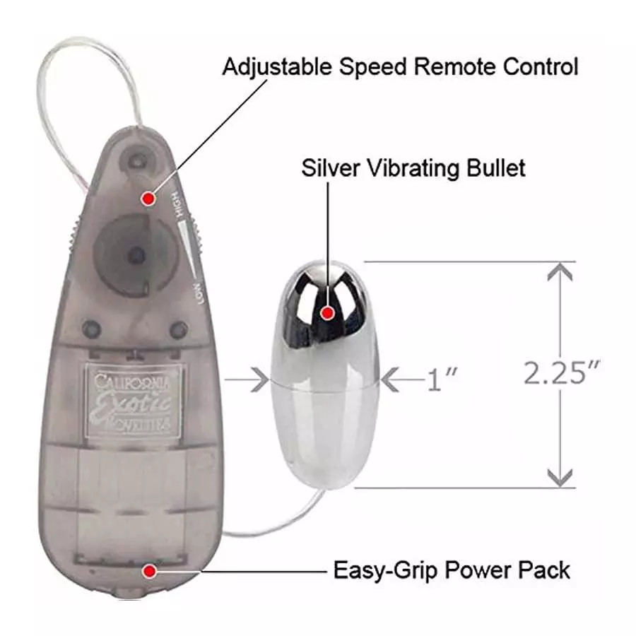 ULTRA INTENSE MULTISPEED VIBRATING SILVER EGG BULLET