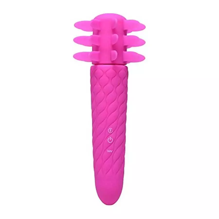 Inmi Lingus Clitoral Stimulator with Insert Able Vibrator Handle