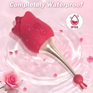 Rose Toy Vibrator for Women, 2 in 1 with 10 Vibration Modes, G Spot Rose and Clitoral Vibrator, High-Frequency Clitoral Tongue L Rose Toy Vibrator for Women, 2 in 1 with 10 Vibration Modes, G Spot Rose and Clitoral Vibrator, High-Frequency Clitoral Tongue L