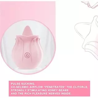 202 Women Rose Tongue & Lick 10 Modes Toys Vibrant Rose The Rose Toy for Women Couples Vibrator Toy for Women (02-Pink)