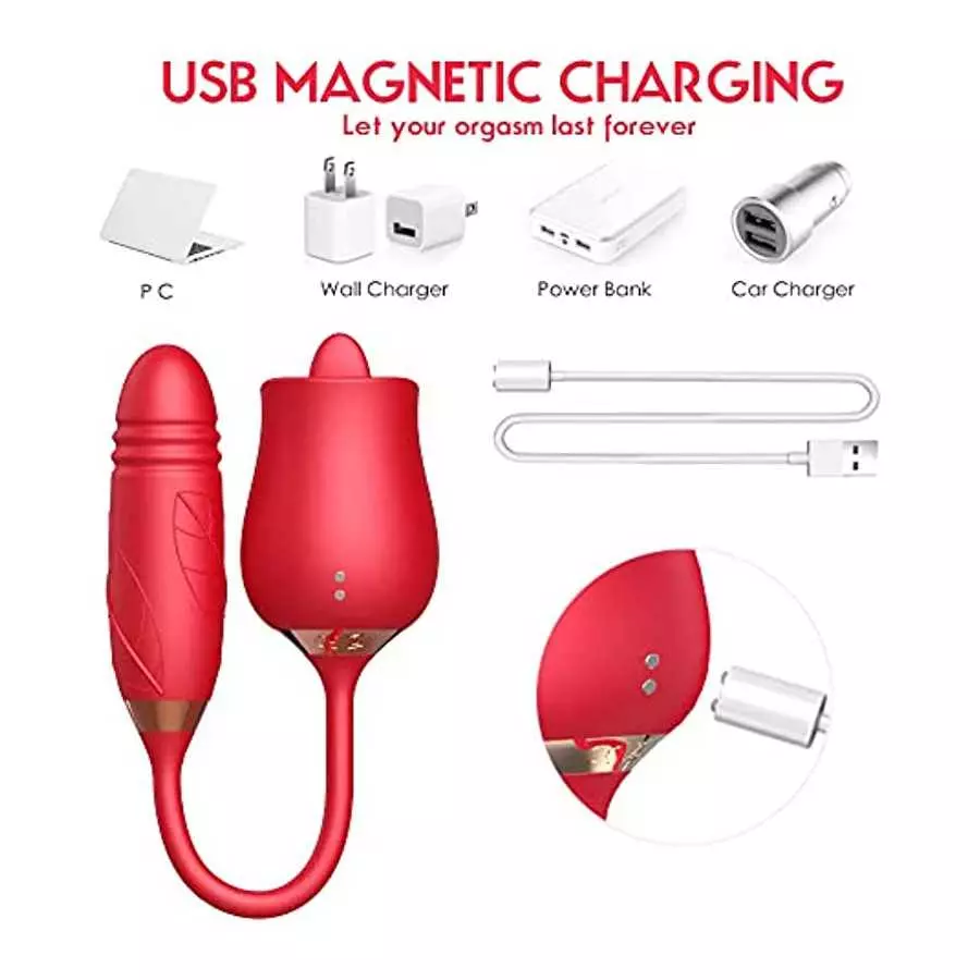 Rose Toy Vibrator with 10 Powerful Vibrations, Waterproof and Rechargeable Sex Toys for Women Sexual Pleasure