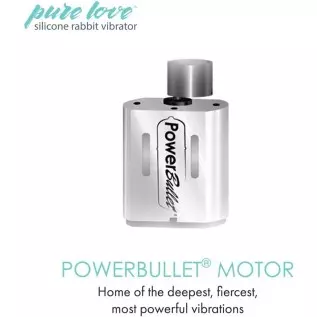 Pure Love G-Spot Silicone Rabbit Vibrator Purple, Rechargeable Clitoris Stimulator, Water-Resistant and Multi Function, Adult Se