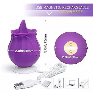 Feelingirl G spot Vibrator Clitoral Tongue Vibrator, Mini Vibrator for Clit Stimulator-Sex Toy for Women& Couples USB Magnetic R Feelingirl G spot Vibrator Clitoral Tongue Vibrator, Mini Vibrator for Clit Stimulator-Sex Toy for Women& Couples USB Magnetic R