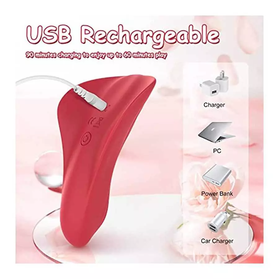 Remote Control Vibrator, G Spot Vibrator, Wearable Panty Clitoral Vibrators, USB Magnetic Charging, Butterfly Vibrator for Women