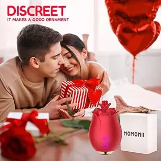 Sex Toy Vibrator Rose Vibrator for Women - MOMONII G Spot Dildo Vibrators with 10 Modes + High-Frequency Clitoral Clit Vibrating Sex Toy Vibrator Rose Vibrator for Women - MOMONII G Spot Dildo Vibrators with 10 Modes + High-Frequency Clitoral Clit Vibrating