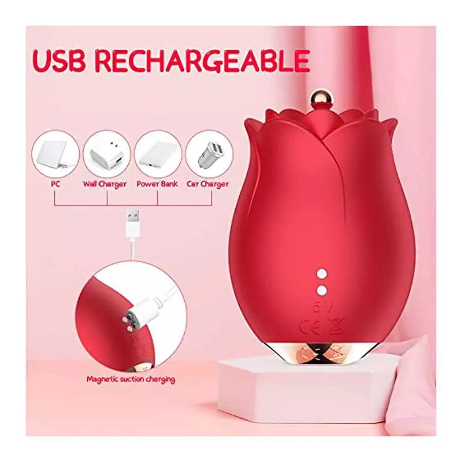 Sex Toy Vibrator Rose Vibrator for Women - MOMONII G Spot Dildo Vibrators with 10 Modes + High-Frequency Clitoral Clit Vibrating