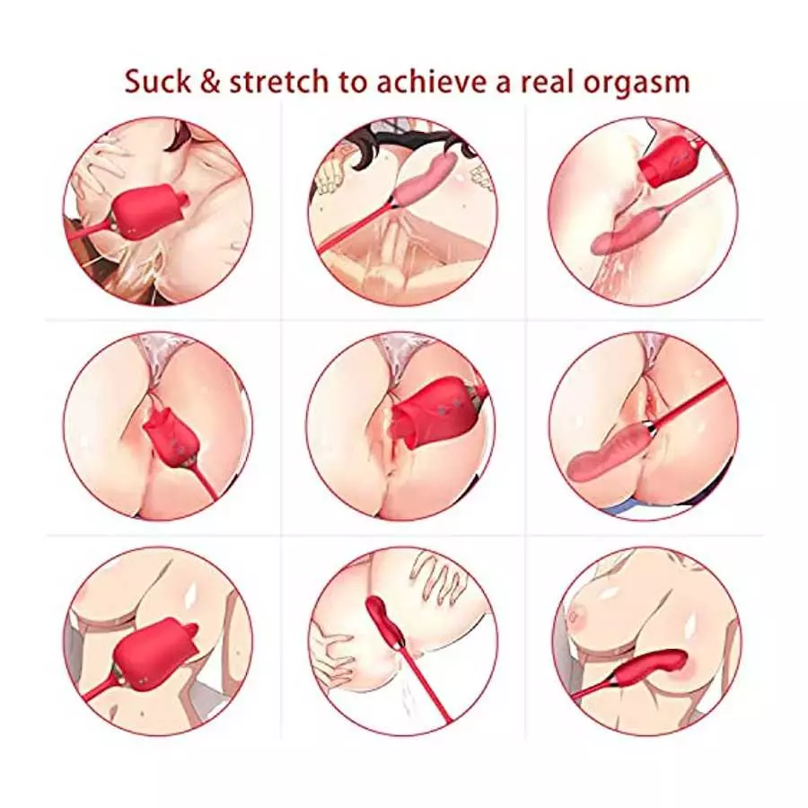 PowerRider Clitoral Stimulator Rose Toy for Woman Dildo Vibrator Rose Sex Stimulator for Women with 4*10 Modes, 4 in 1 Tongue Li