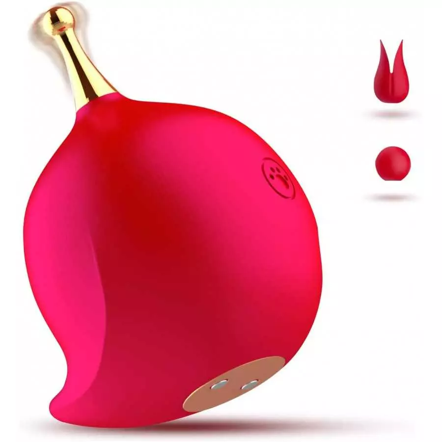 G Spot Clitoral Vibrator for Women,High-Frequency Nipple Vaginal Clitoris Stimulator with 10 Vibration Modes,Sex Toys for Women G Spot Clitoral Vibrator for Women,High-Frequency Nipple Vaginal Clitoris Stimulator with 10 Vibration Modes,Sex Toys for Women