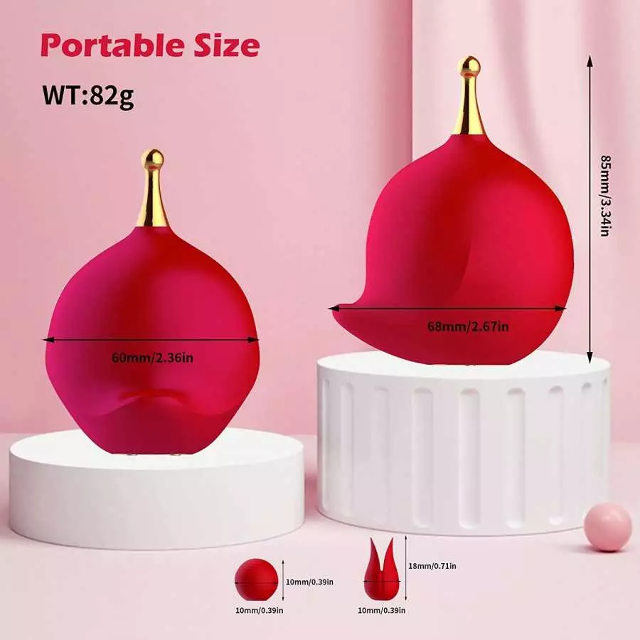 G Spot Clitoral Vibrator for Women,High-Frequency Nipple Vaginal Clitoris Stimulator with 10 Vibration Modes,Sex Toys for Women 