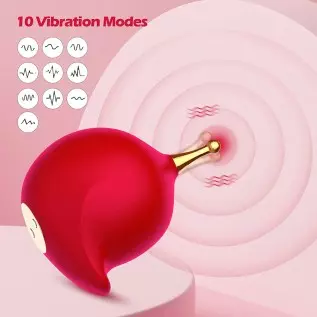 G Spot Clitoral Vibrator for Women,High-Frequency Nipple Vaginal Clitoris Stimulator with 10 Vibration Modes,Sex Toys for Women G Spot Clitoral Vibrator for Women,High-Frequency Nipple Vaginal Clitoris Stimulator with 10 Vibration Modes,Sex Toys for Women