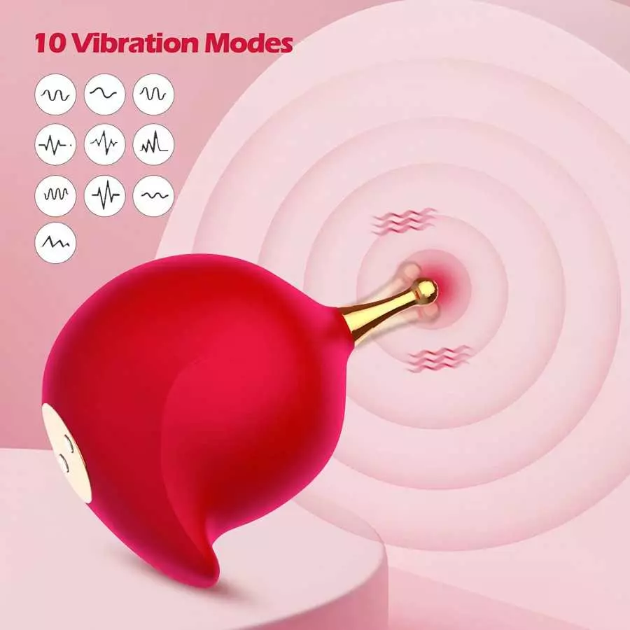 G Spot Clitoral Vibrator for Women,High-Frequency Nipple Vaginal Clitoris Stimulator with 10 Vibration Modes,Sex Toys for Women 