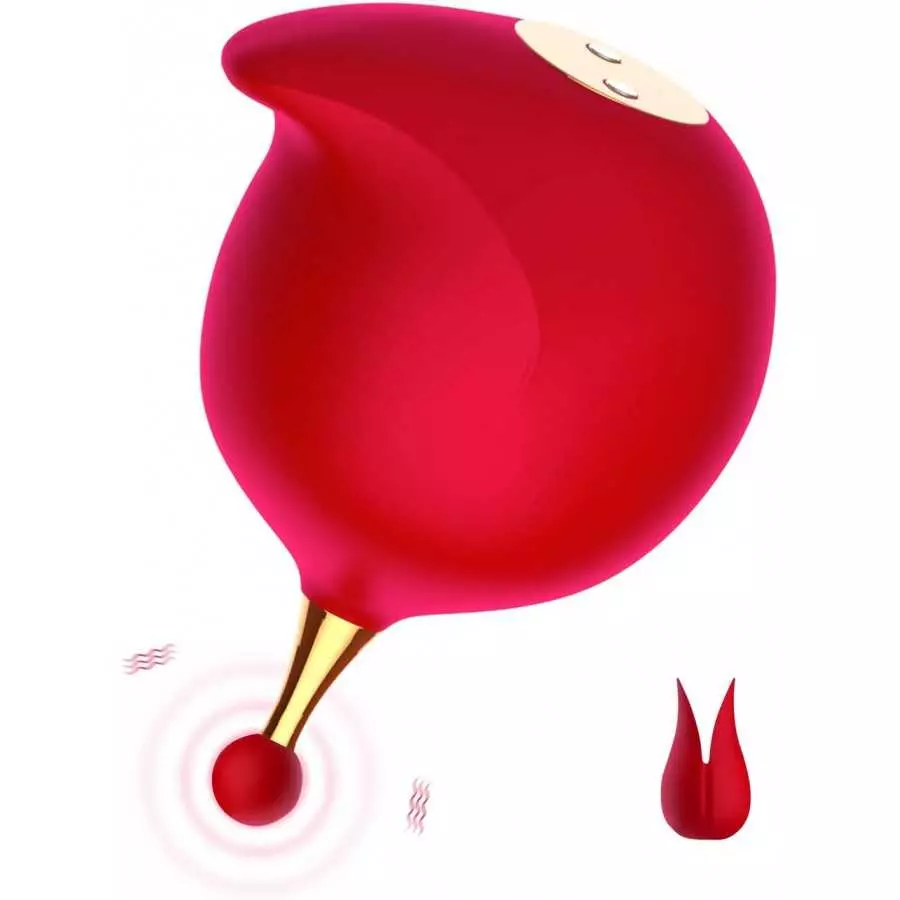 G Spot Clitoral Vibrator for Women,High-Frequency Nipple Vaginal Clitoris Stimulator with 10 Vibration Modes,Sex Toys for Women 