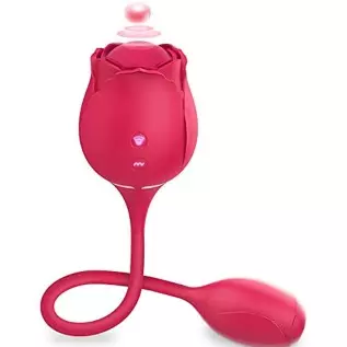 Rose Vibrator Toy for Women, Rose Clitoral Toy G-spot Vibrator Toy, 2 in 1 Clitoral Stimulator with 10 Modes Sex Toy, Nipple Sti