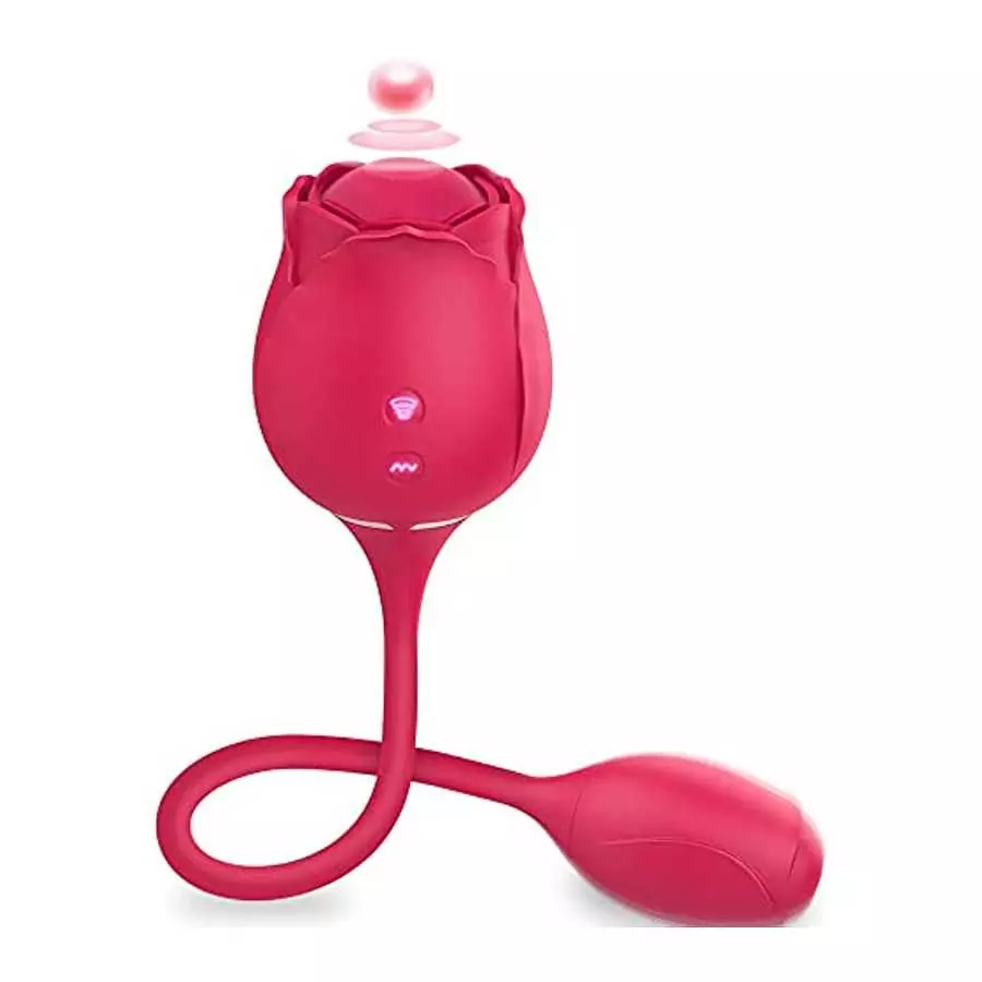 Rose Vibrator Toy for Women, Rose Clitoral Toy G-spot Vibrator Toy, 2 in 1 Clitoral Stimulator with 10 Modes Sex Toy, Nipple Sti Rose Vibrator Toy for Women, Rose Clitoral Toy G-spot Vibrator Toy, 2 in 1 Clitoral Stimulator with 10 Modes Sex Toy, Nipple Sti
