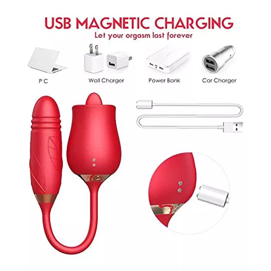 Diane Store/Rose Toy 2022 for Women Beautiful and Generous, Washable Dual Head Waterproof, Red, 23.0 Fl Oz, (Pack of 23)