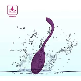 Clitoral Vibrator with Remote, Female Wareable Vibrating Egg Toys for Women Sex Toy