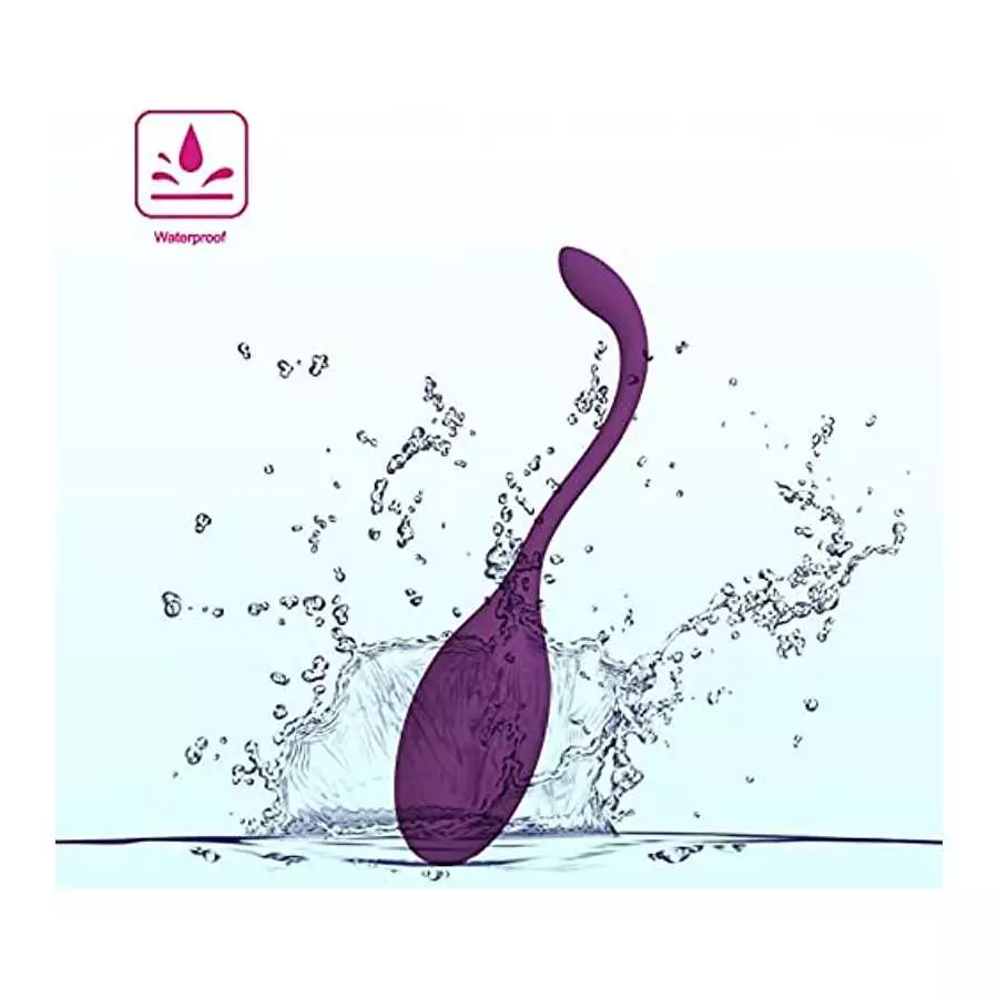 Clitoral Vibrator with Remote, Female Wareable Vibrating Egg Toys for Women Sex Toy
