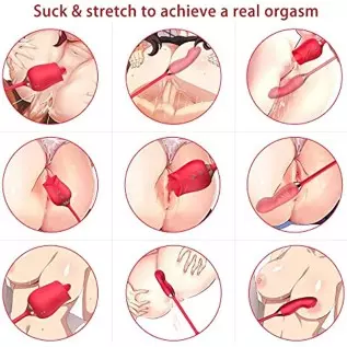Rose Toy Vibrator for Women, Tongue Licking Vibrator, G Spot Rose Vibrator, Clitoral Vibrator, Dildo Stimulator Vaginal and Anal Rose Toy Vibrator for Women, Tongue Licking Vibrator, G Spot Rose Vibrator, Clitoral Vibrator, Dildo Stimulator Vaginal and Anal