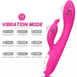 G Spot Rabbit Vibrator with Heating Function, Rose Sex Toys for Clitoris G-spot Stimulation,Waterproof Dildo Vibrator with 9 Pow