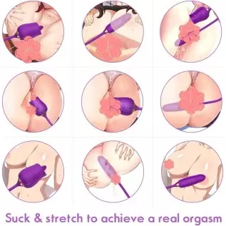 Rose Sex Toy for Women -Rose Sex Toy with Tongue Licking Vibrator for Women Nipple Stimulation, Rechargeable Vibrating Machine C Rose Sex Toy for Women -Rose Sex Toy with Tongue Licking Vibrator for Women Nipple Stimulation, Rechargeable Vibrating Machine C