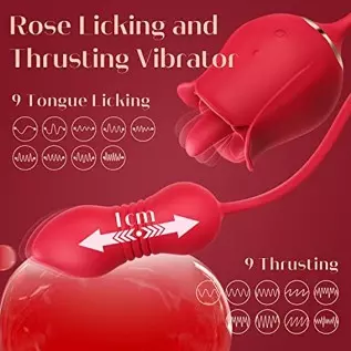 Rose Sex Toy with Dildo Vibrator Kit Rose Sex Toy with Dildo Vibrator Kit