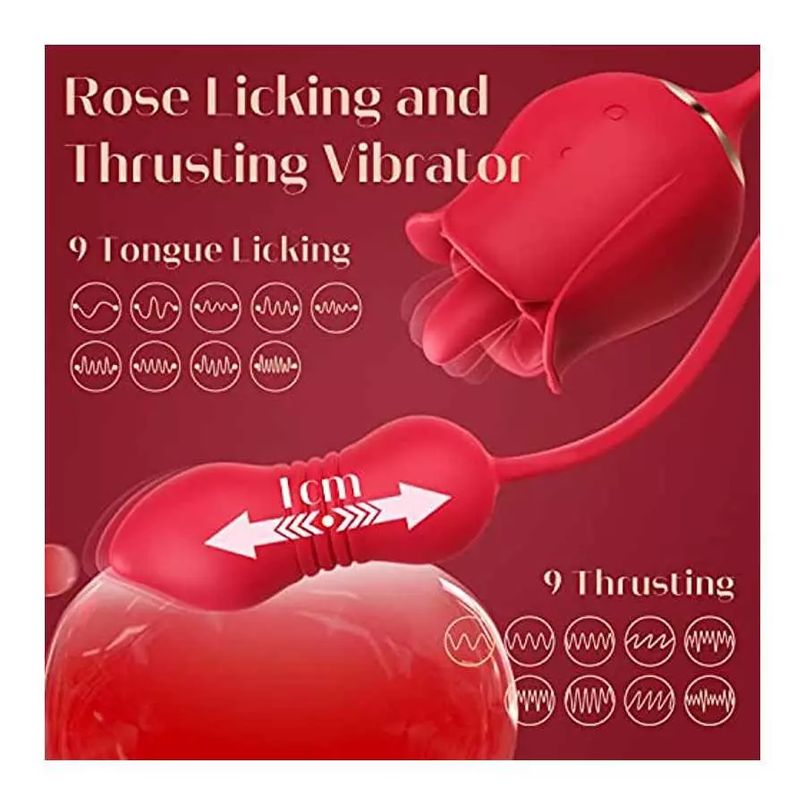 Rose Sex Toy with Dildo Vibrator Kit