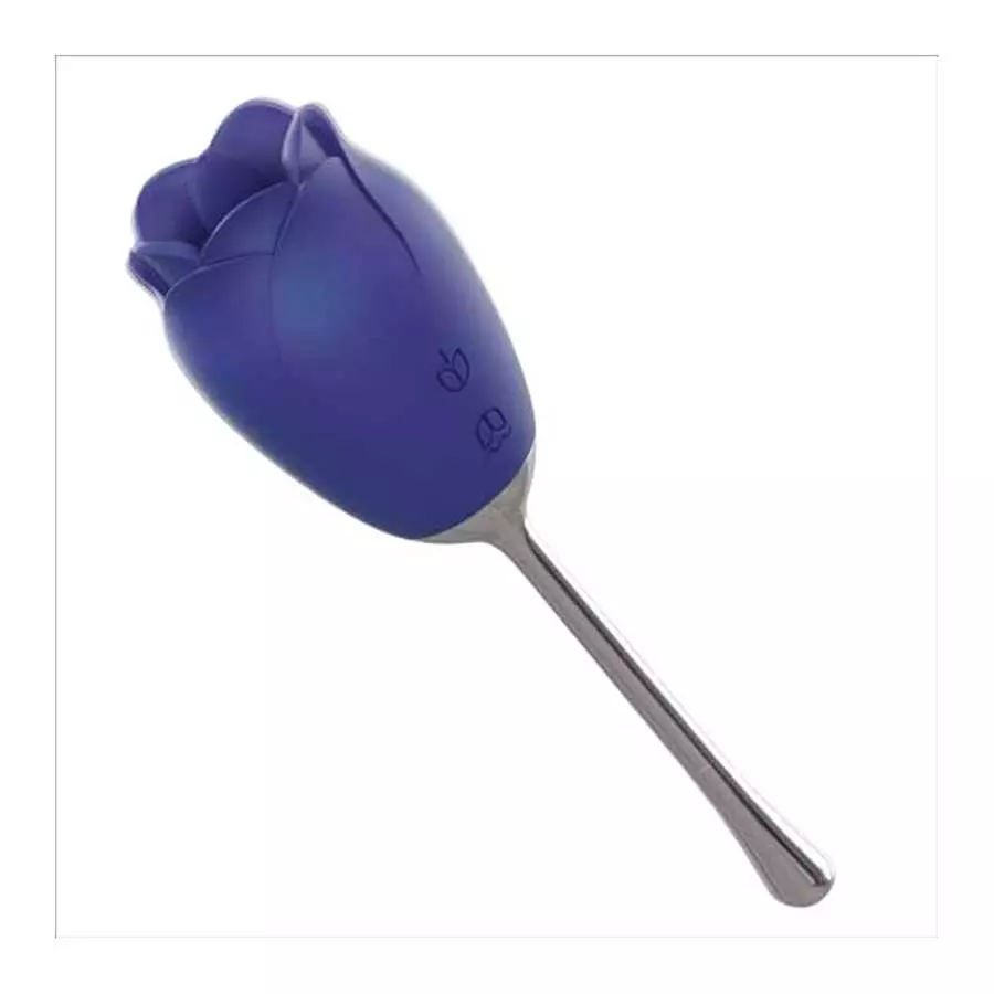 Female Vibrators High Frequency G Spot Clit Vibrator 2 in 1 Nipple Sex Toys for Women Pleasure Clitoral Vibrators with 9 Vibrati Female Vibrators High Frequency G Spot Clit Vibrator 2 in 1 Nipple Sex Toys for Women Pleasure Clitoral Vibrators with 9 Vibrati