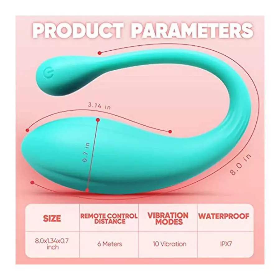 G Spot Couple Vibrator for Women with 10 Vibrations, Waterproof Wearable Panty Adult Toys, Remote Control Bullet Vibrator, Recha