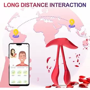 Rose Sex Toys for Women App Controlled Wearable Panty Vibrators Pistil Vibrating Panties Adult Toys, G Spot Butterfly Vibrator C Rose Sex Toys for Women App Controlled Wearable Panty Vibrators Pistil Vibrating Panties Adult Toys, G Spot Butterfly Vibrator C