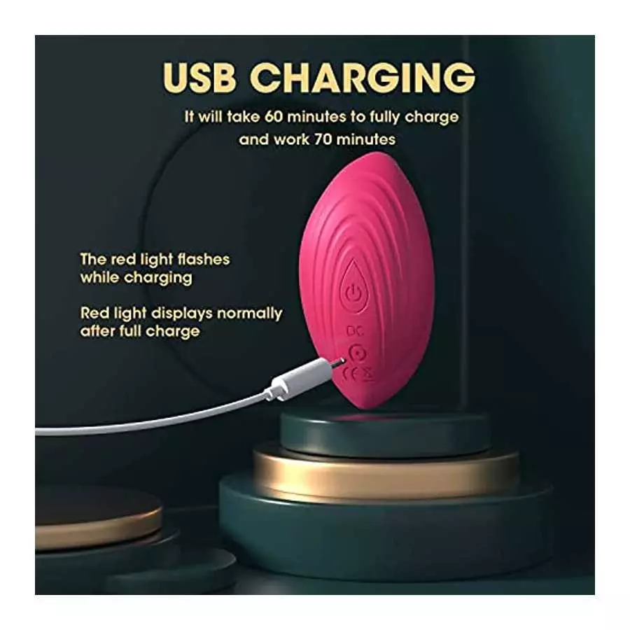 Remote Control Vibrator for Panties,G spot Butterfly Vibrators with 10 Vibration Modes,IPX7 Waterproof Wearable Rose Vibrator,Cl